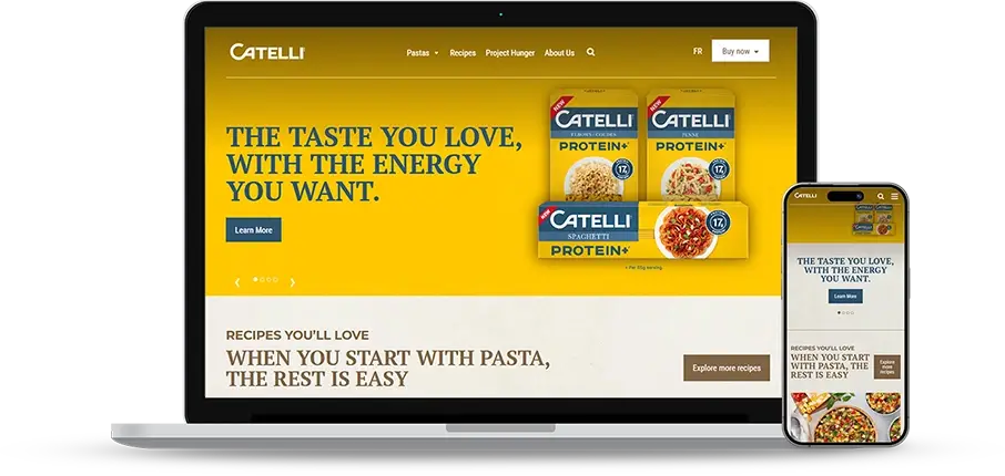 Web Design Challenges Faced by Catelli Web Design Challenges Faced by Catelli