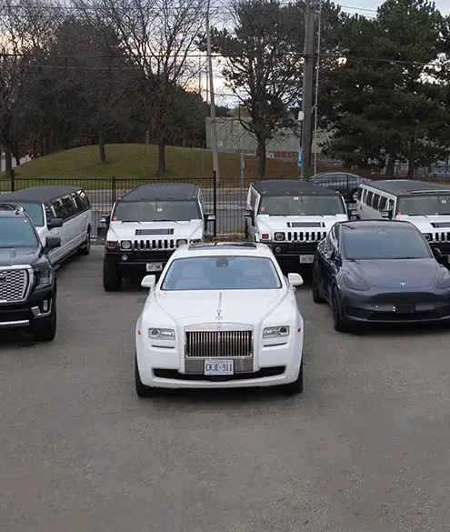 Lavish Limo SEO Case Study Background Image