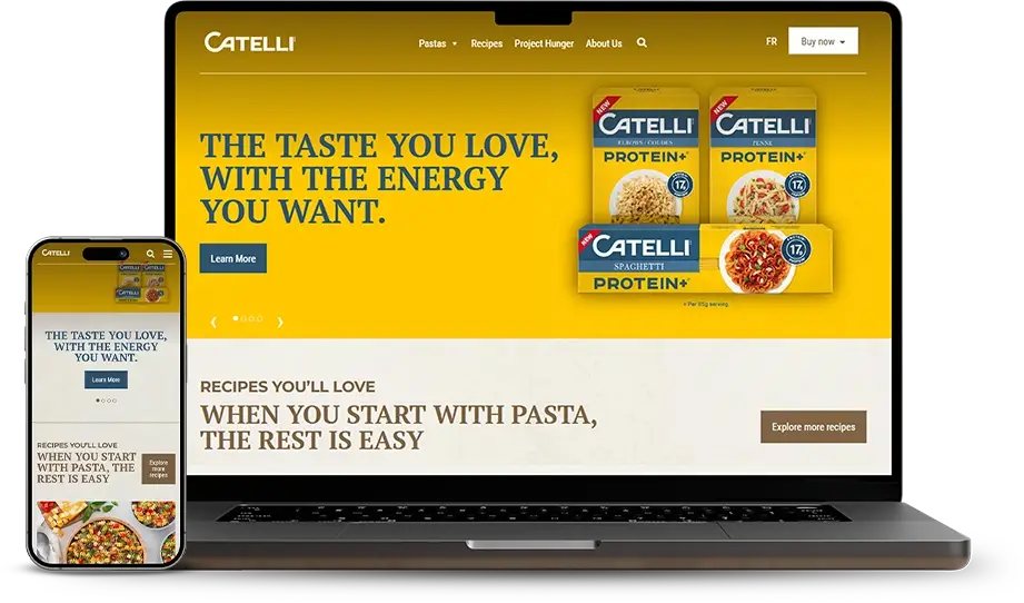 Catelli Web Design Case Study Catelli Web Design Case Study