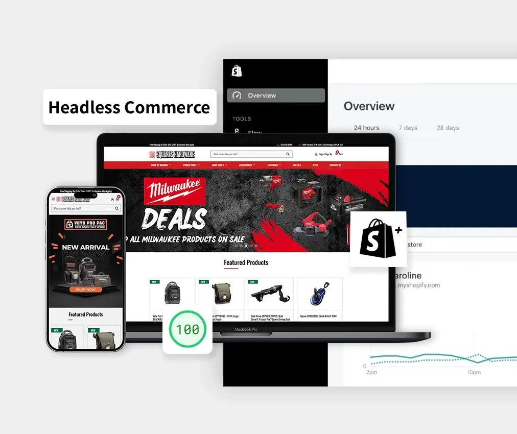 Headless Commerce Development Headless Commerce Development