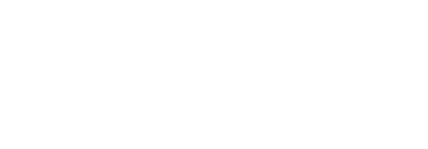 Shopify Plus Partner Shopify Plus Partner