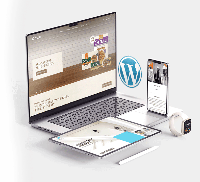 Website Design Agency Website Design Agency