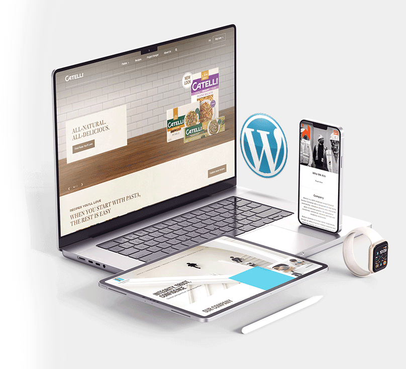 Website Design Agency Website Design Agency
